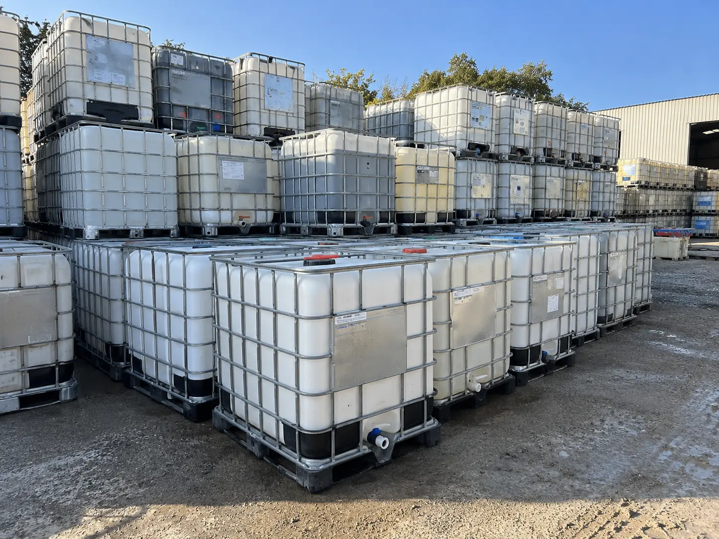 Reconditioned IBC totes stacked two high in the Harvey yard under a clear sky